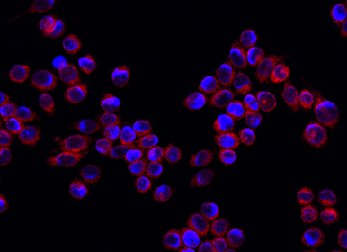 /uploads/image/2025/11/24/a4b65d74-9111-422b-9a77-72de4614105b.png a4b65d74-9111-422b-9a77-72de4614105b.png