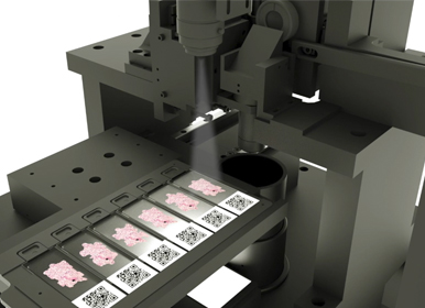 /uploads/image/2026/01/20/4040fe67-33ab-4766-9d5a-b8bd40414878.png 4040fe67-33ab-4766-9d5a-b8bd40414878.png